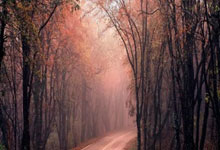 026年冬奥会新增项目滑雪登山奥运测试赛开赛.